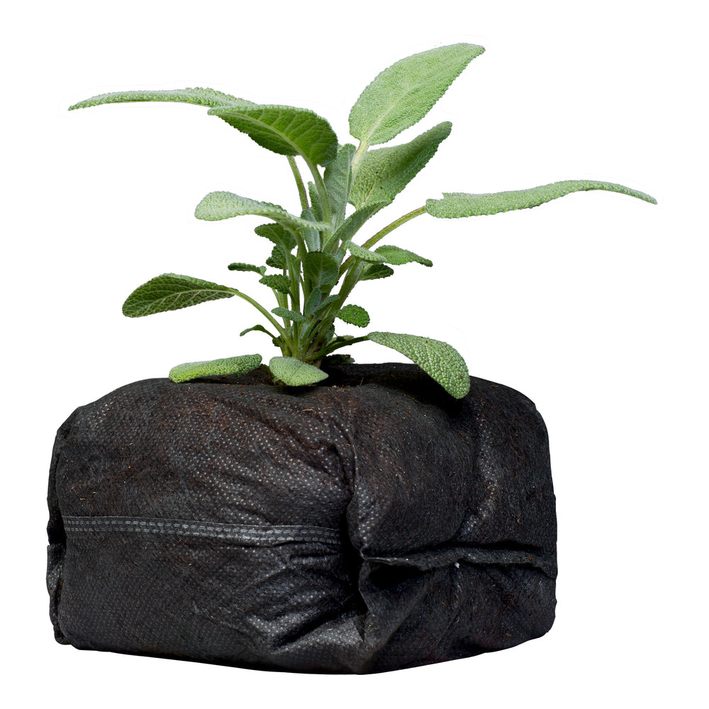 Botanicare® CocoPro™ Cubes - Greenhouse Megastore