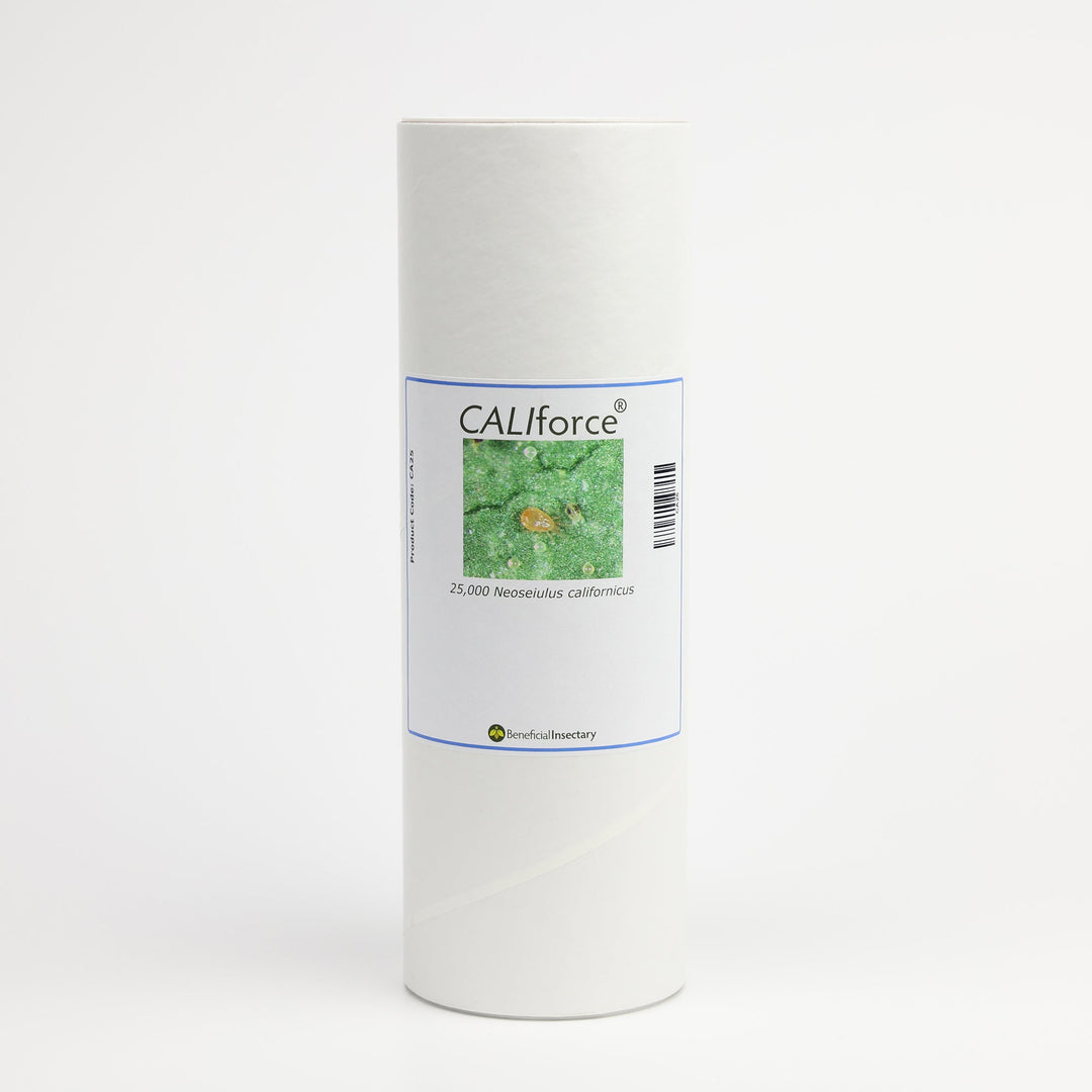 CALIforce™ for Mite Control - Greenhouse Megastore