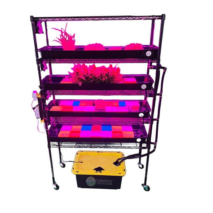 Classroom Hydroponics System - STEM Grow Rack - Greenhouse Megastore