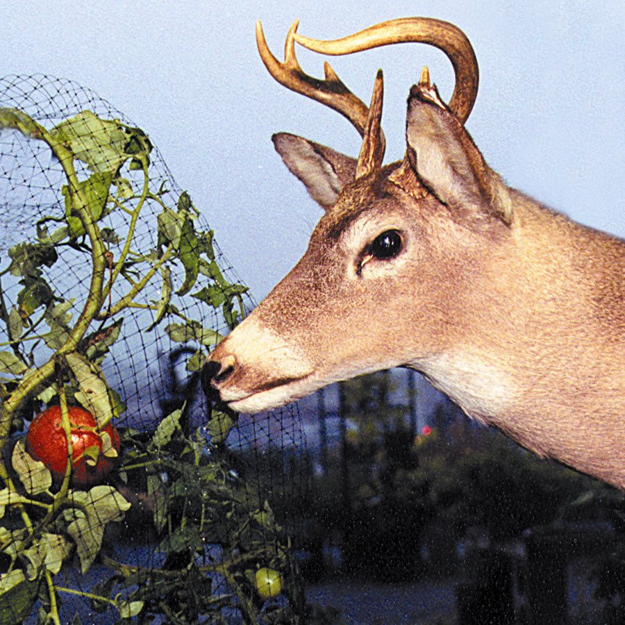Deer Fencing - Greenhouse Megastore