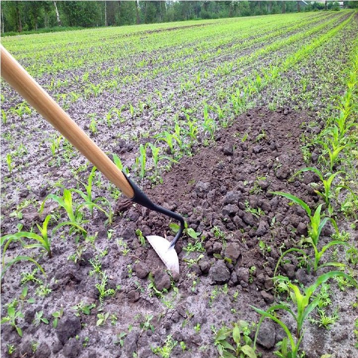 DeWit 75 in. Half Moon Hoe - Greenhouse Megastore