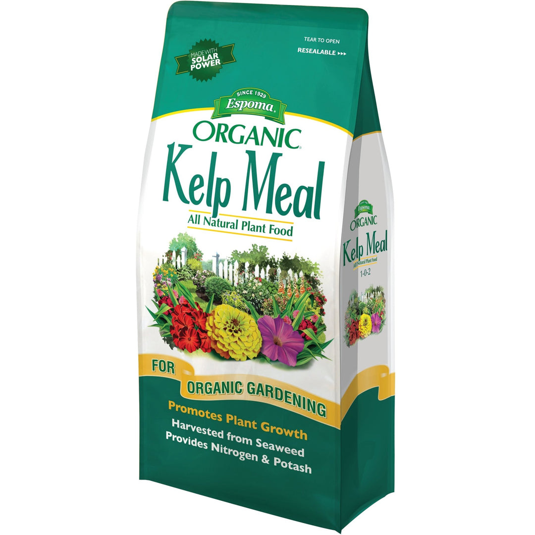 sea kelp plant fertilizer Espoma® Organic Kelp Meal 1-0-2