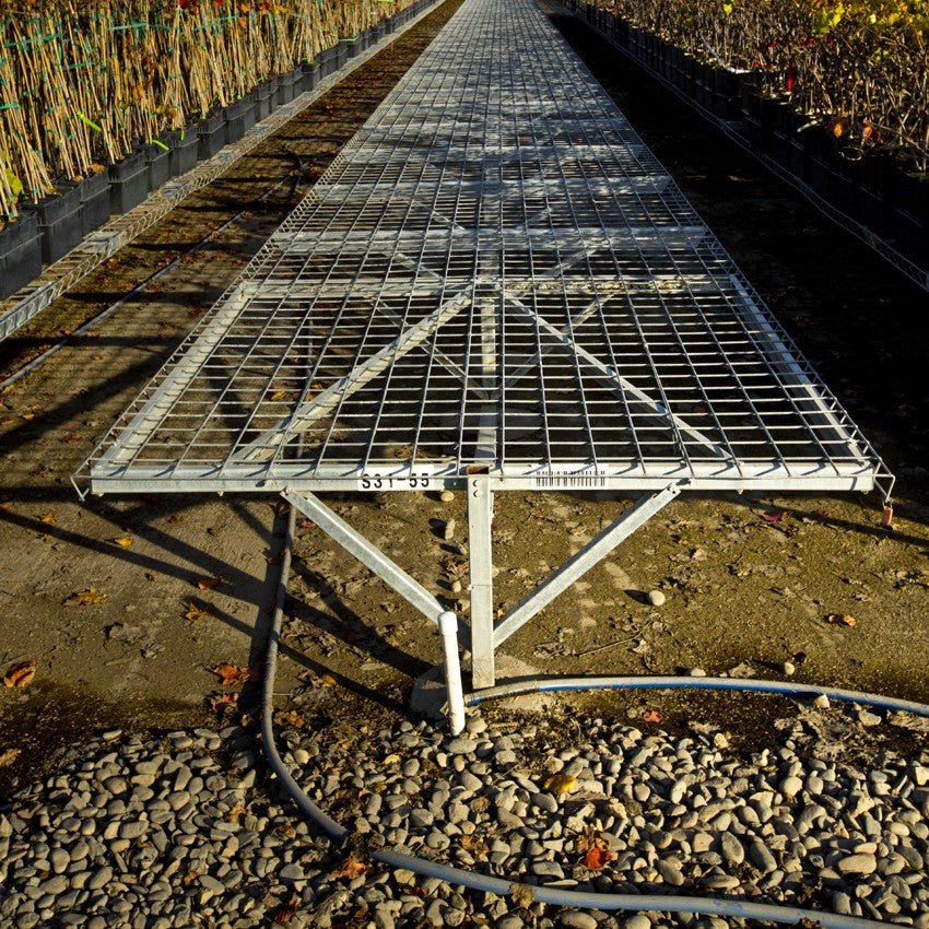 Fixed Steel Greenhouse Bench - Greenhouse Megastore