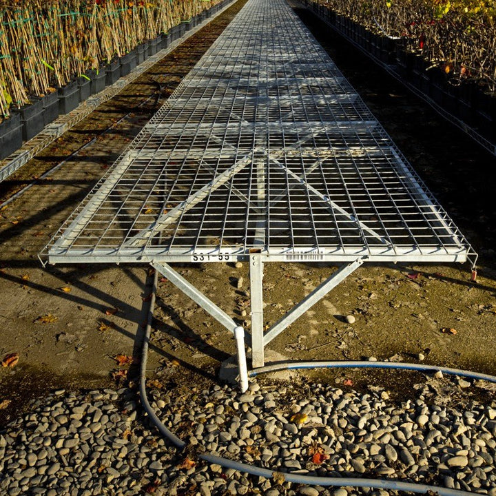 Fixed Steel Greenhouse Bench - Greenhouse Megastore