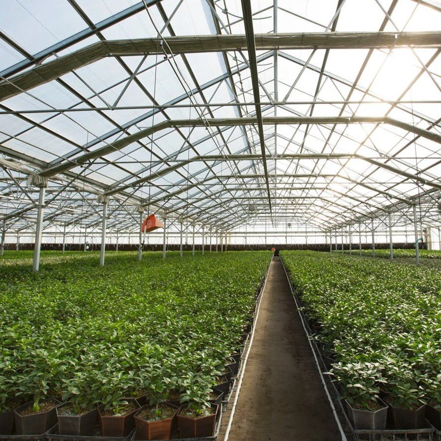 Gable 7500 Commercial Greenhouse - Greenhouse Megastore