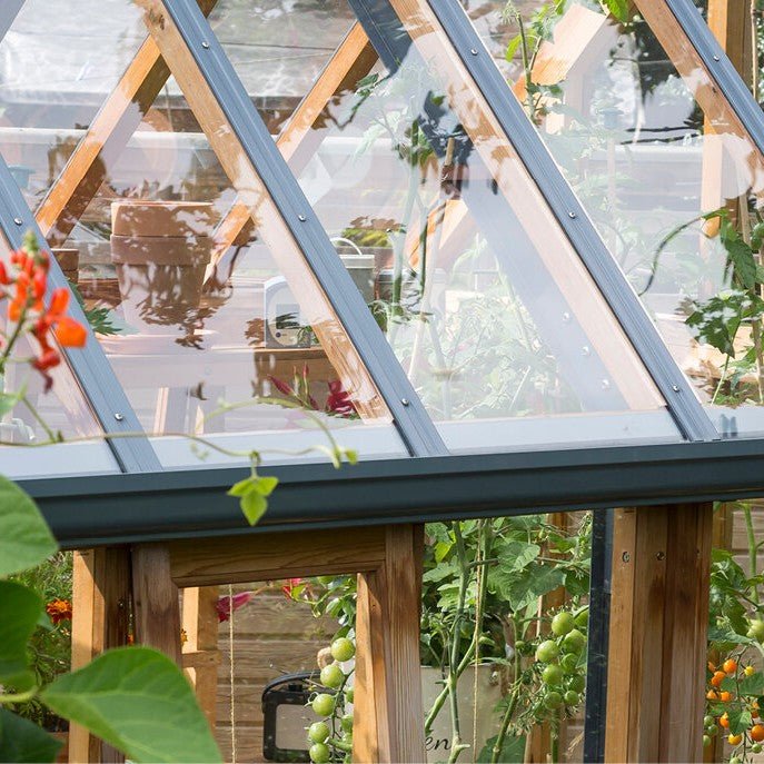 Gabriel Ash Rosemoor Greenhouse Kit 6 x 10 ft. with Tempered Glass Panels Red Cedar Wood Frame and Cold Frame Option - Greenhouse Megastore
