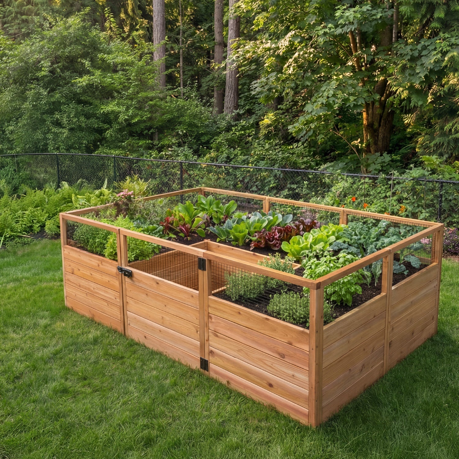 Cedar Wood Garden in a Box Kits - Greenhouse Megastore