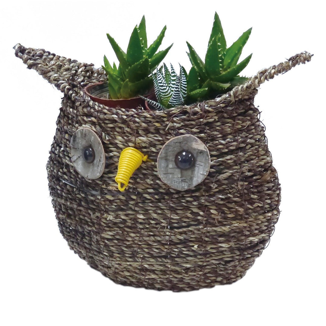 Gardener Select® Rattan Rope Owl Topiary - Greenhouse Megastore