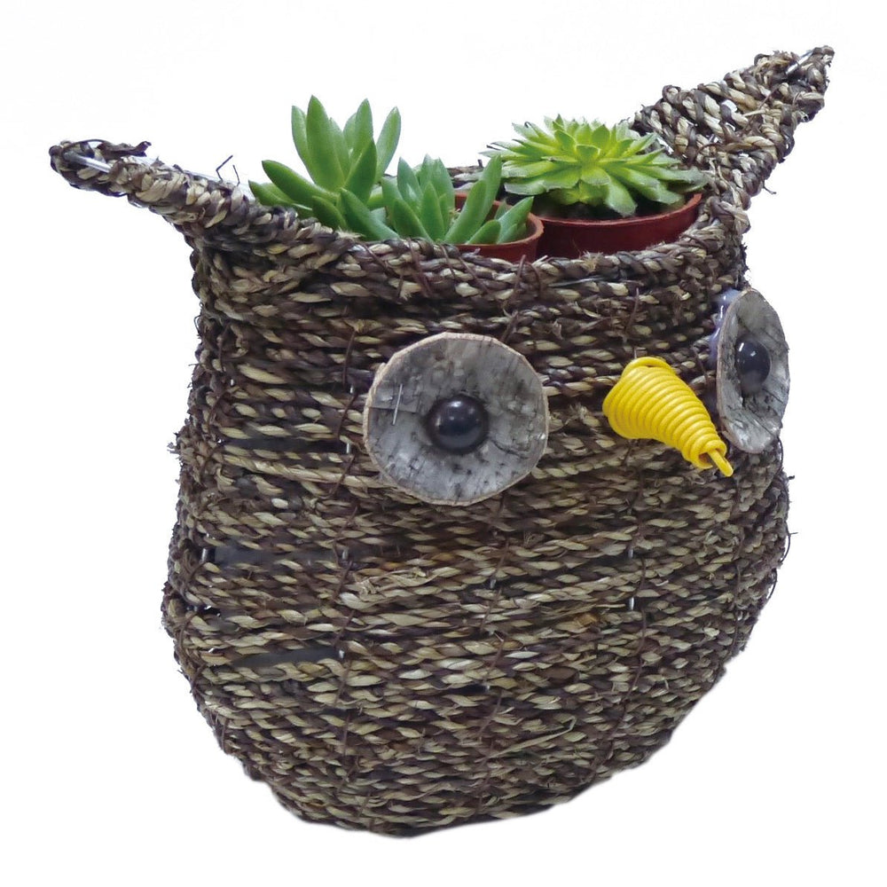 Gardener Select® Rattan Rope Owl Topiary - Greenhouse Megastore