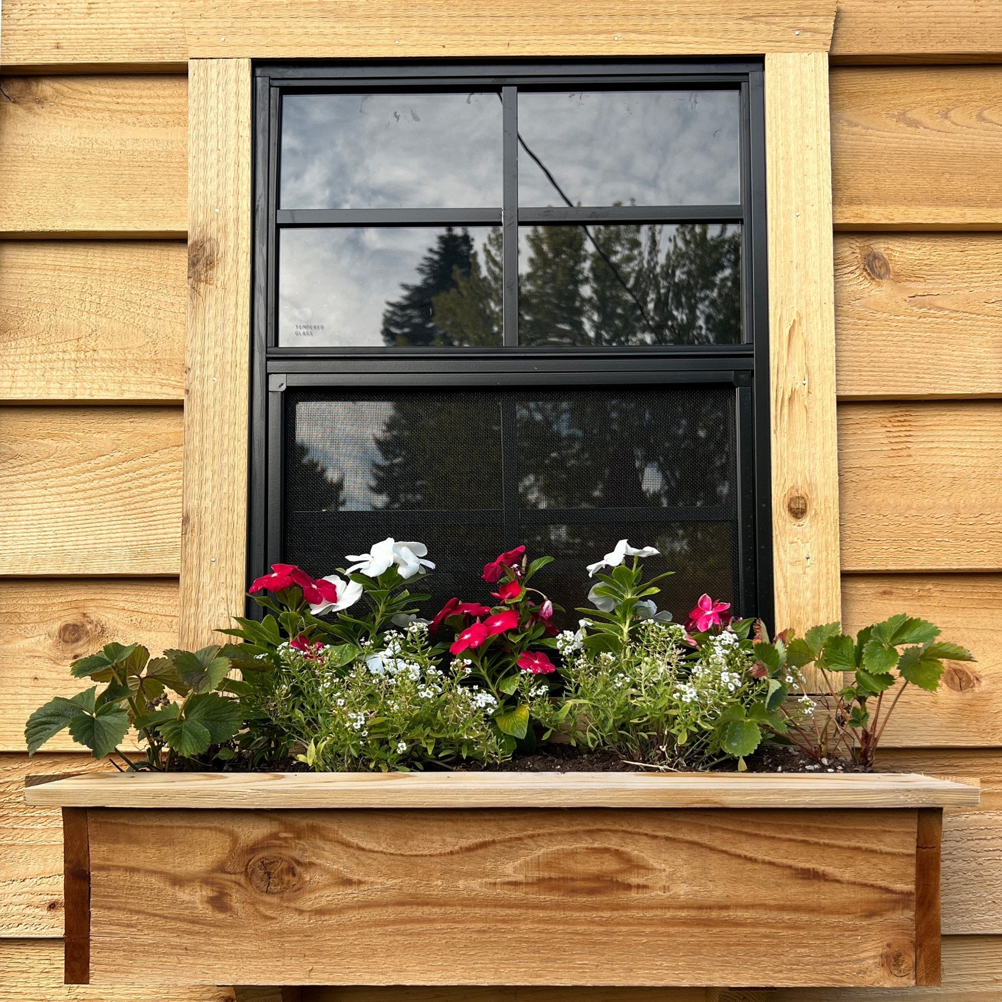 GardenSaver Lean-to Shed 8x4, Single Door – Greenhouse Megastore