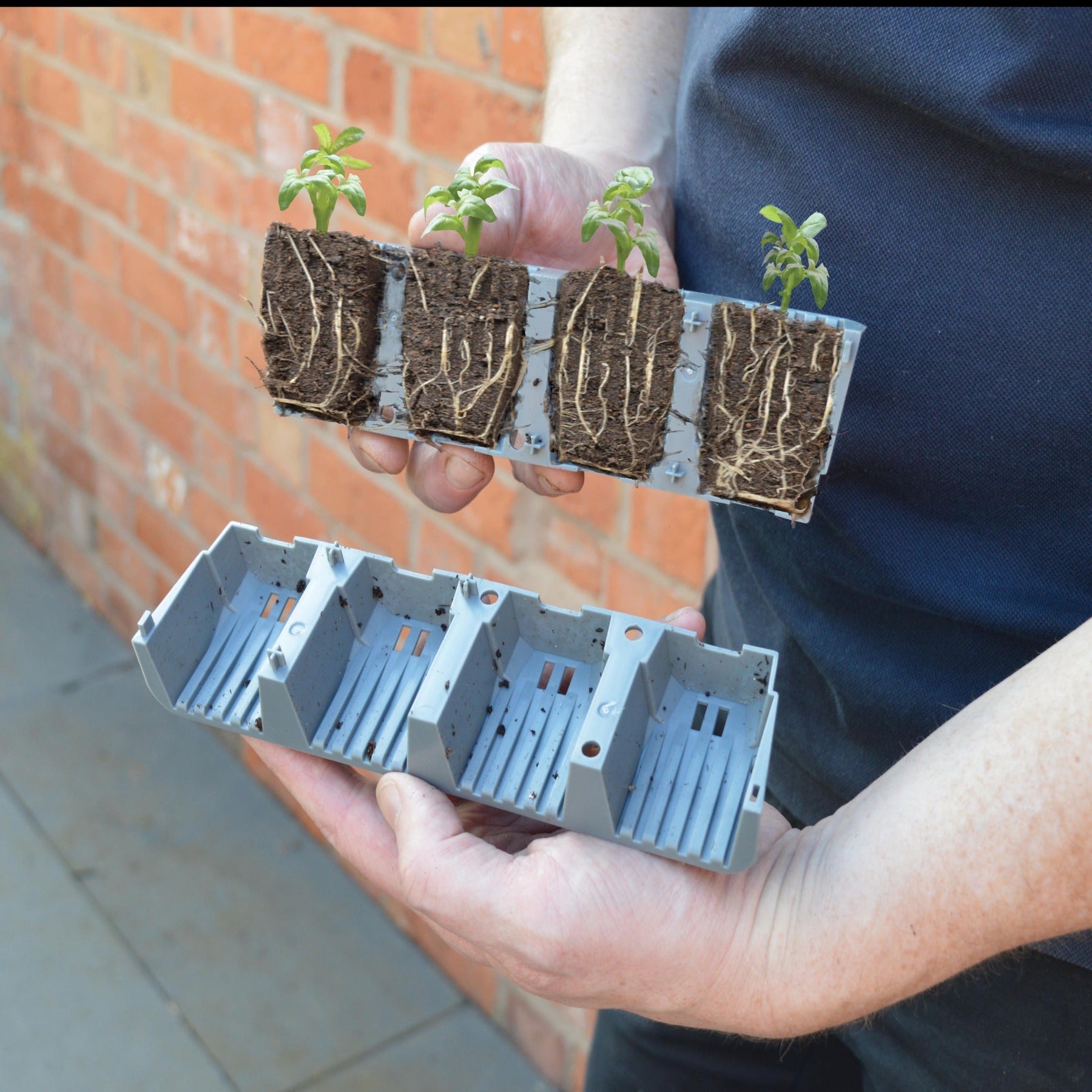 Mega Root 24 Cell Fast Root Success Kit - Greenhouse Megastore