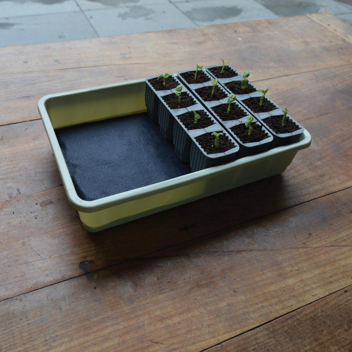 Garland 24 Cell Self Watering Fast Root Success Kit - Greenhouse Megastore