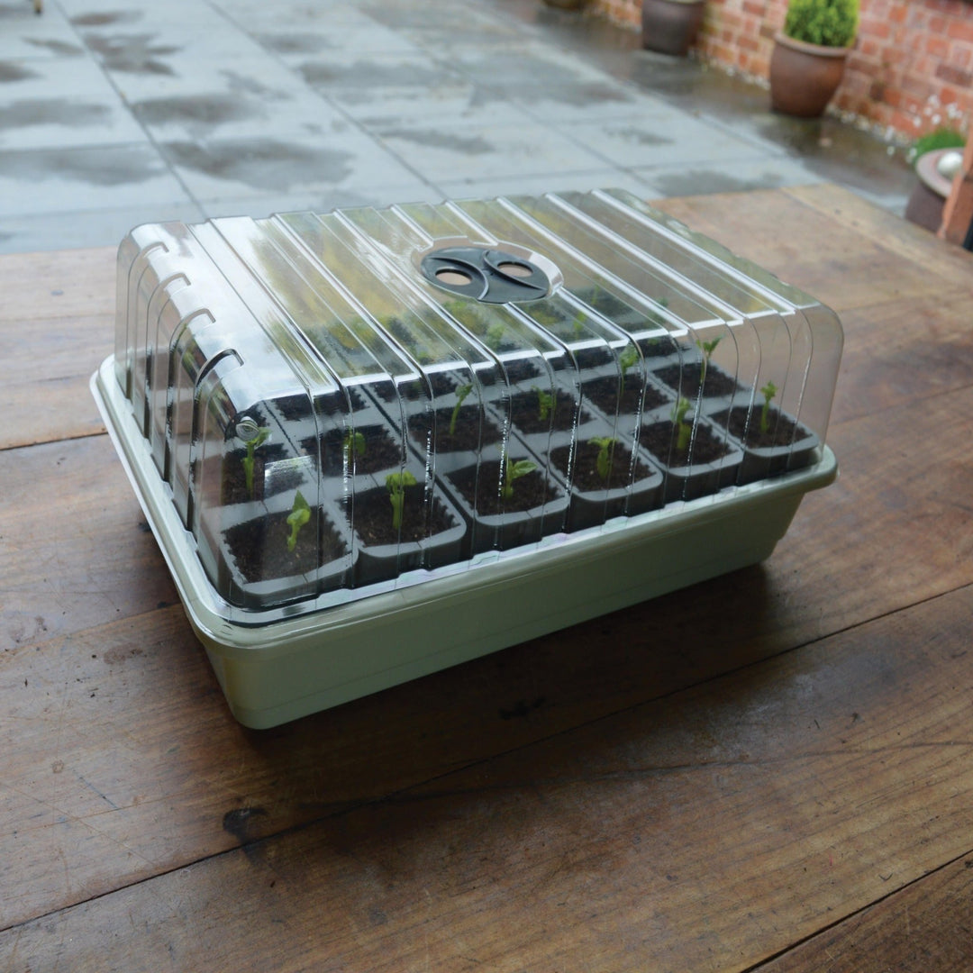 garland self watering plant tray 24 Cell Self Watering Fast Root Success Kit