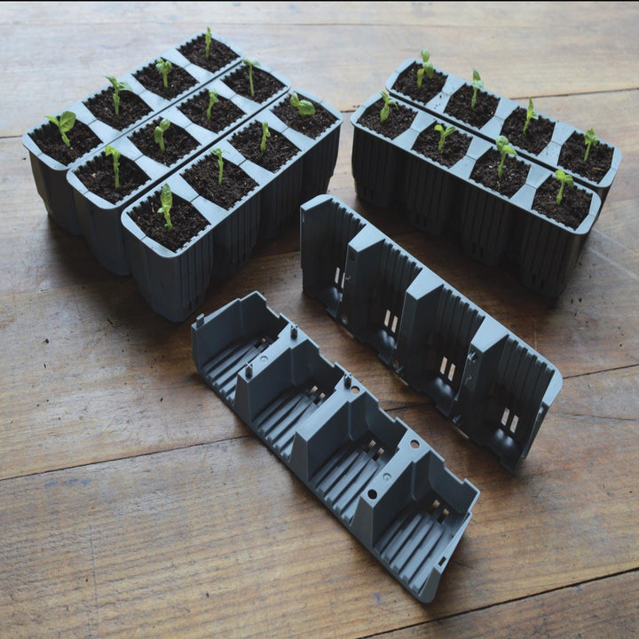 Garland 24 Fast Root Plant Cells - Greenhouse Megastore