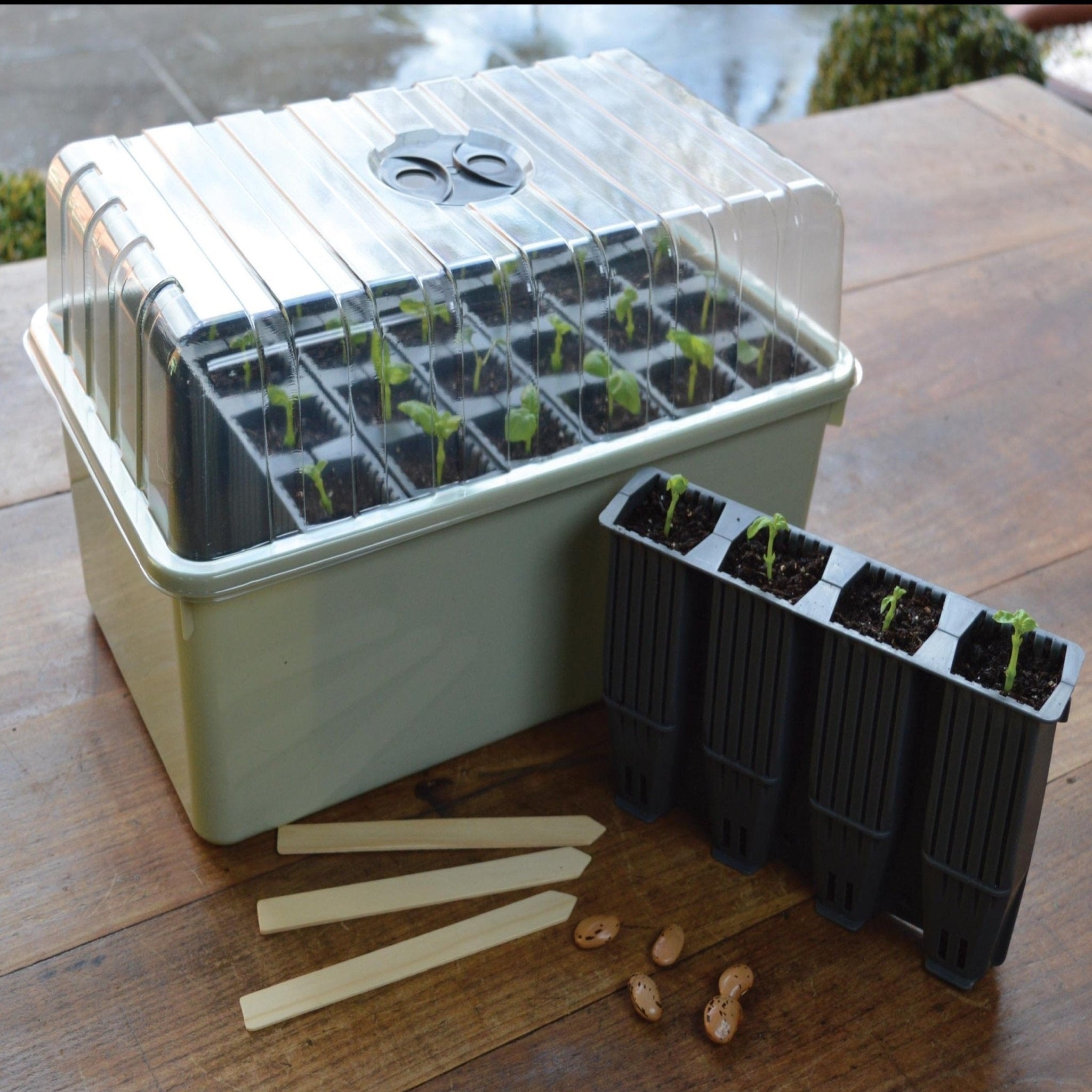 28 Cell Deep Root Success Kit - Greenhouse Megastore