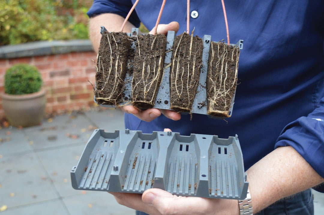 deep root plant pots 28 Deep Root Plant Cells