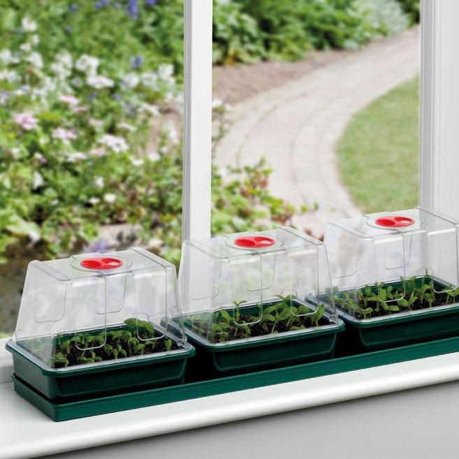 Garland Three Top Windowsill Propagator - Greenhouse Megastore