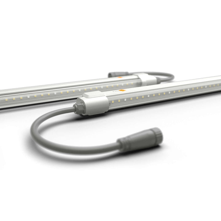 Gavita® LED Clone Bar - Pack of 2 - Greenhouse Megastore