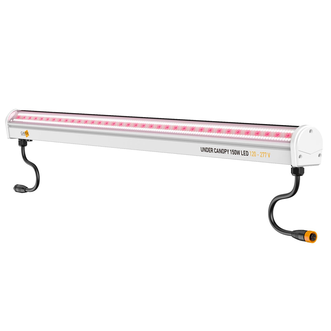 Gavita Under Canopy 150W LED Light - Greenhouse Megastore