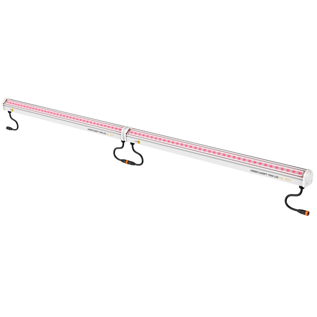 Gavita Under Canopy 150W LED Light - Greenhouse Megastore