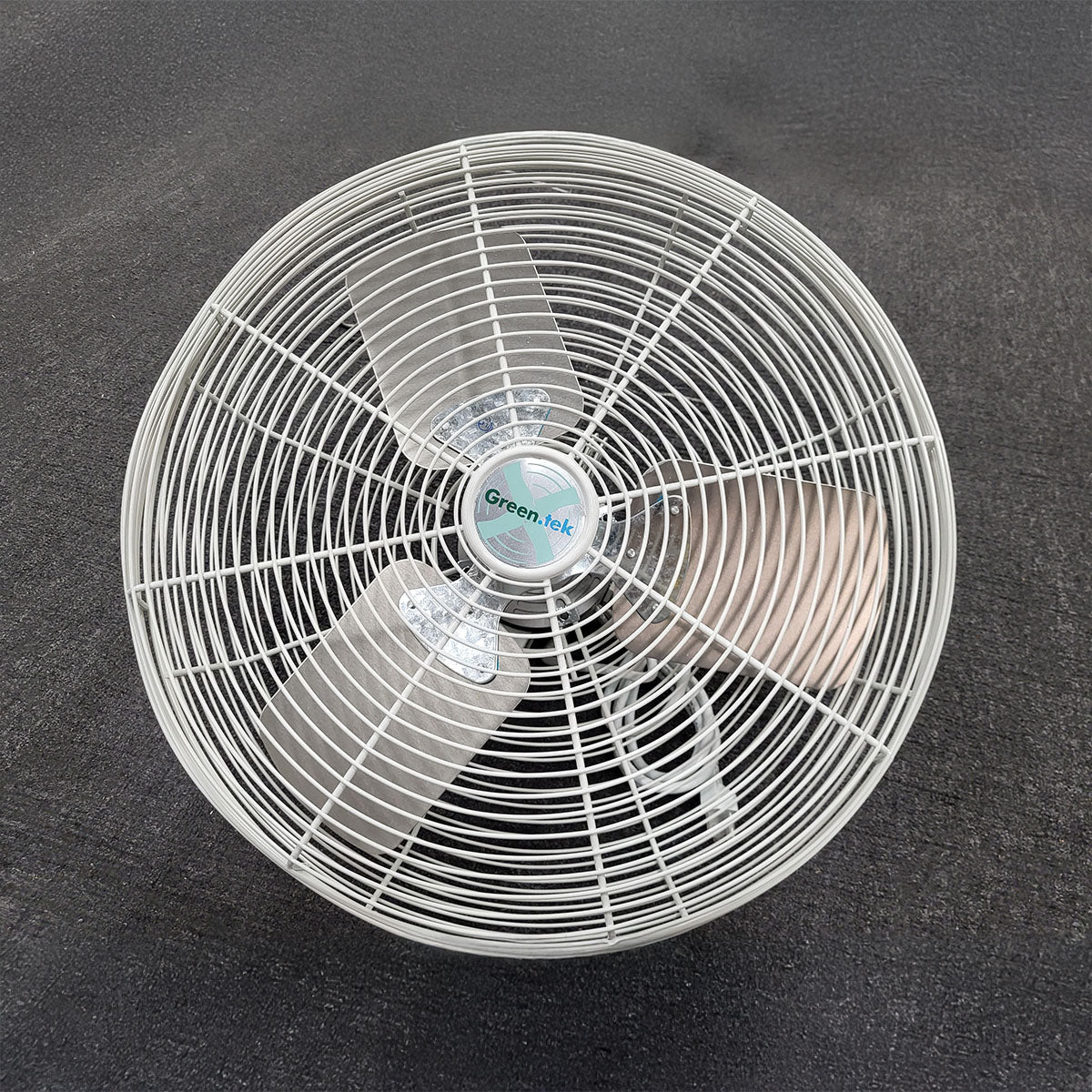 福本大晴 GARAGARA CHANCE SFF SUPER FAN FIRST Green-Tek® HAF Basket Fan - Greenhouse Megastore