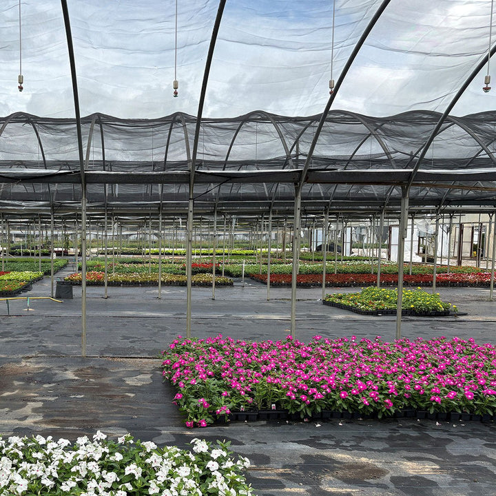 Green - Tek® 30% Black Woven Shade Cloth, Bulk - Greenhouse Megastore