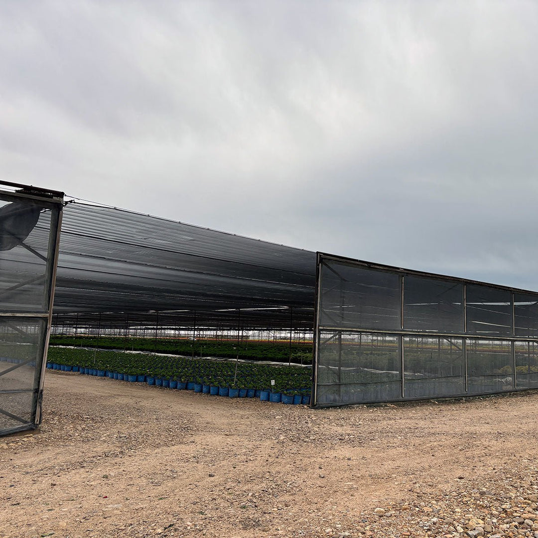 Green - Tek® 47% Black Woven Shade Cloth, Bulk - Greenhouse Megastore