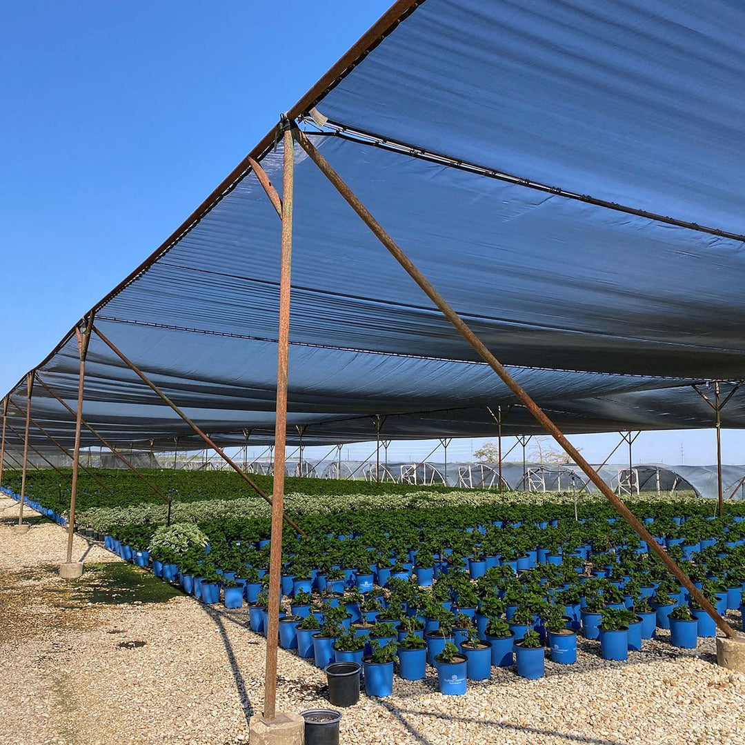 Green - Tek® 63% Black Woven Shade Cloth, Bulk - Greenhouse Megastore