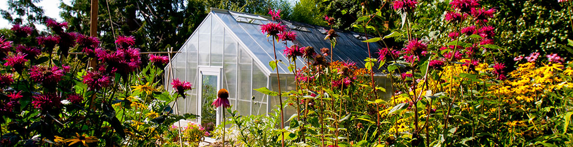 Easy-to-Assemble Greenhouse Kits - Greenhouse Megastore