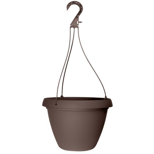 Grower Select 10 in. Cove Combo Hanging Basket - Greenhouse Megastore