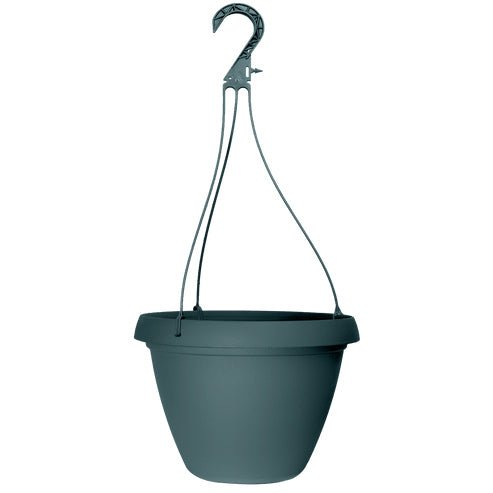 Grower Select 10 in. Cove Combo Hanging Basket - Greenhouse Megastore