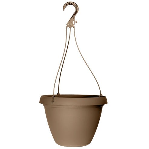 Grower Select 10 in. Cove Combo Hanging Basket - Greenhouse Megastore