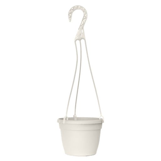 Grower Select 6 in. Bella Hanging Basket - Greenhouse Megastore