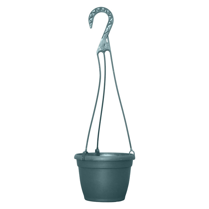 Grower Select 6 in. Bella Hanging Basket - Greenhouse Megastore
