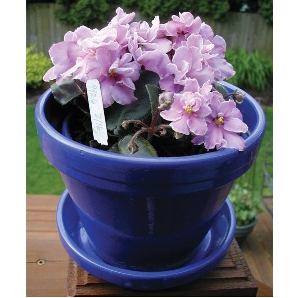 Grower's Edge® Plant Stake Labels - Box of 1000 - Greenhouse Megastore