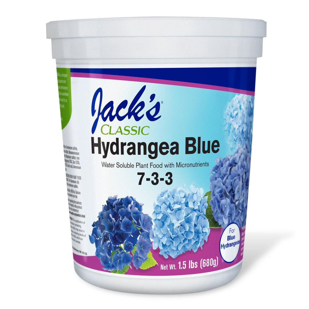 Jack's Classic Hydrangea Blue 7 - 3 - 3 - Greenhouse Megastore