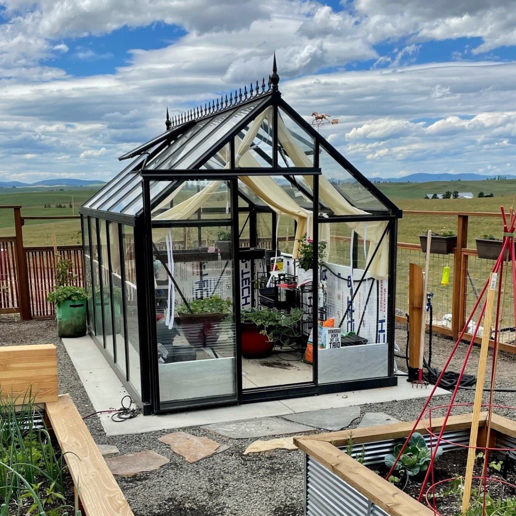 Junior Victorian Greenhouse Kit 7.9 x 12.6 ft. with 4mm Tempered Glass Panels and Aluminum Frame - Greenhouse Megastore