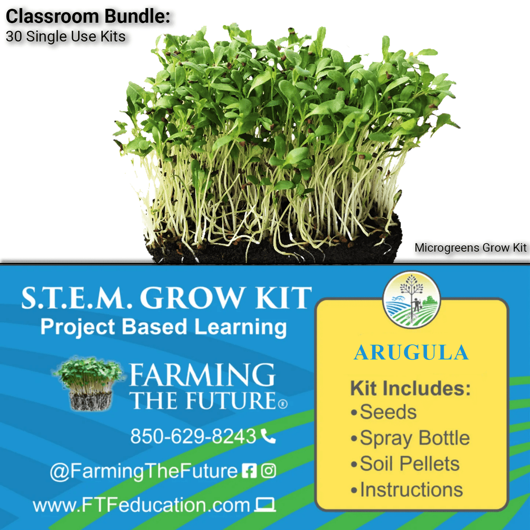 K - 12 STEM Student Arugula Microgreen Kit - Classroom Bundle - Greenhouse Megastore