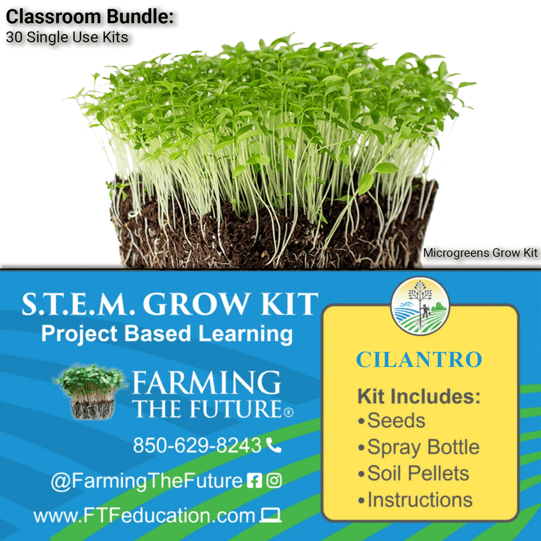 K - 12 STEM Student Cilantro Microgreen Kit - Classroom Bundle - Greenhouse Megastore