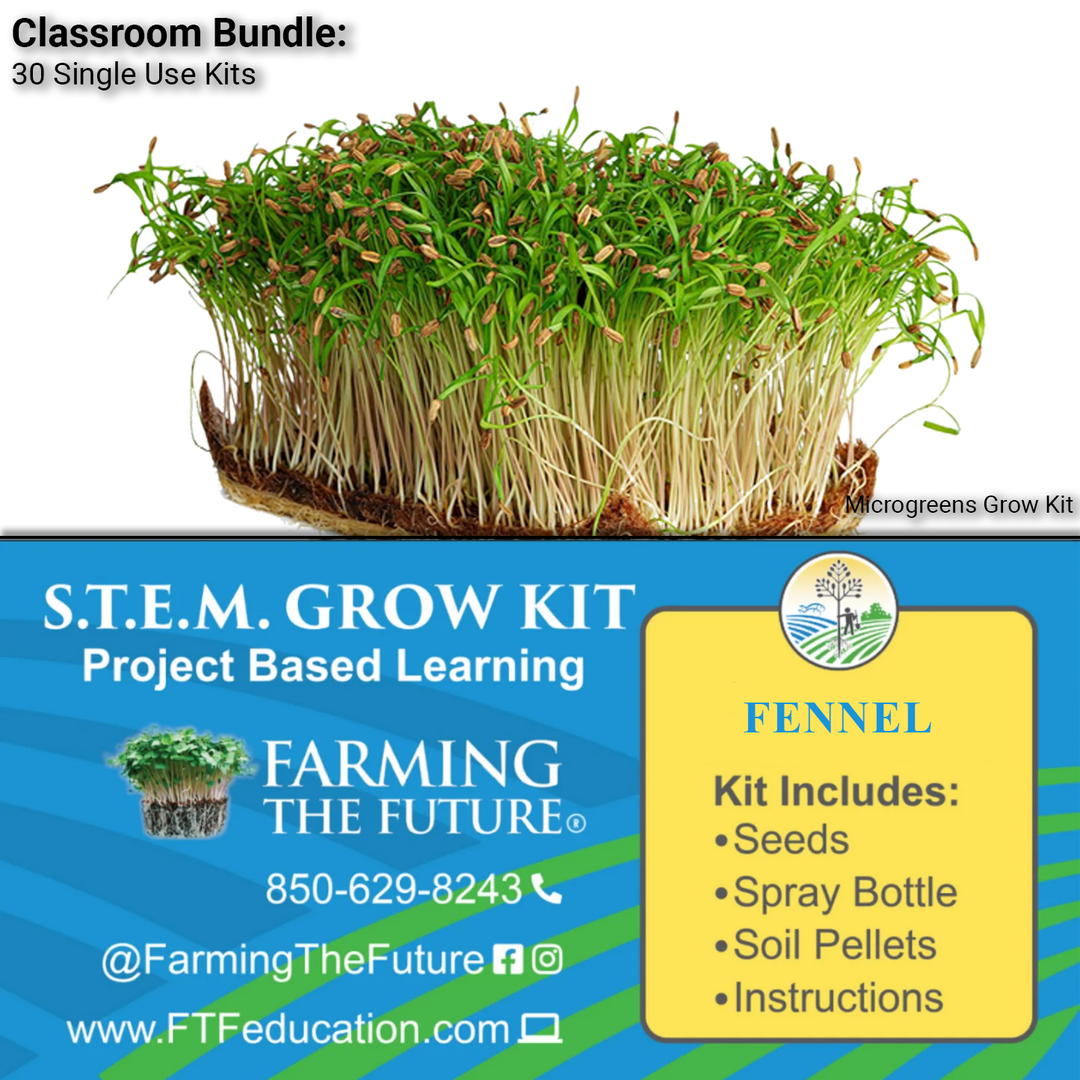 K - 12 STEM Student Fennel Microgreen Kit - Classroom Bundle - Greenhouse Megastore