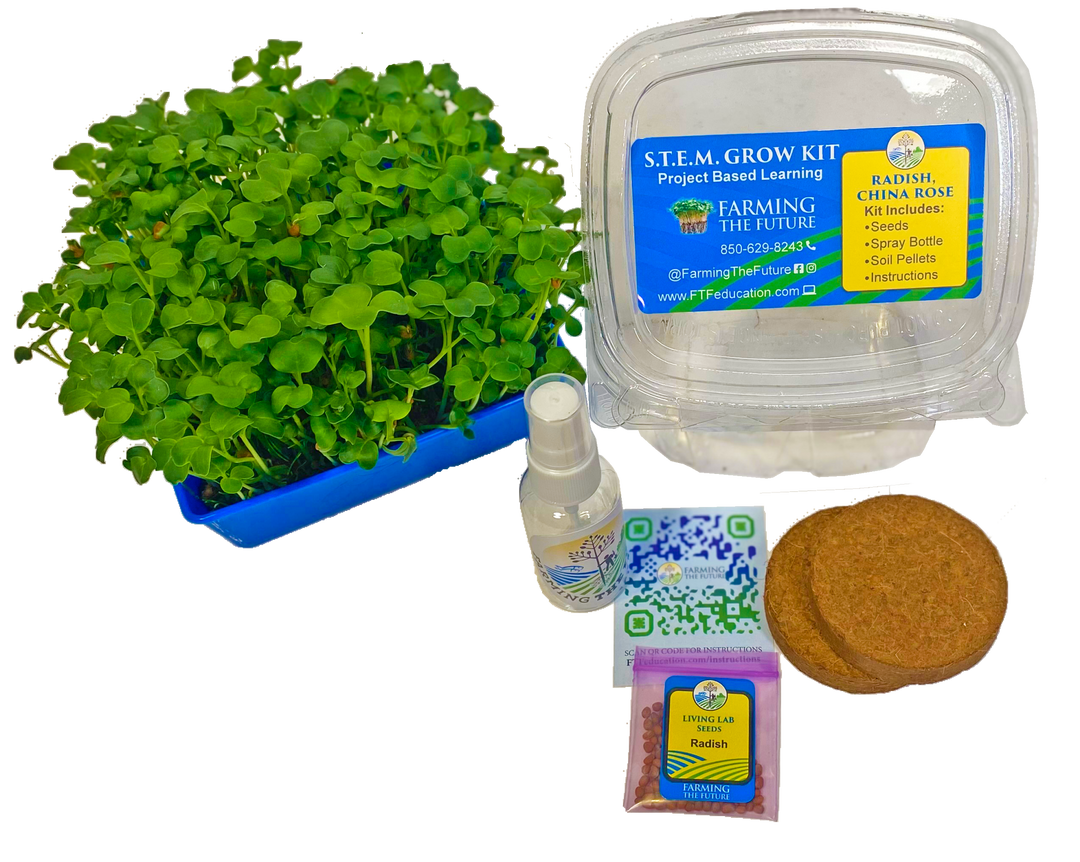 K - 12 STEM Student Microgreen Kit - Single Classroom Grow Kit - Greenhouse Megastore