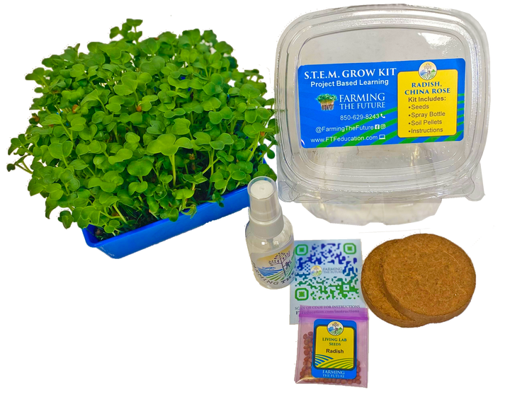 K - 12 STEM Student Microgreen Kit - Single Classroom Grow Kit - Greenhouse Megastore
