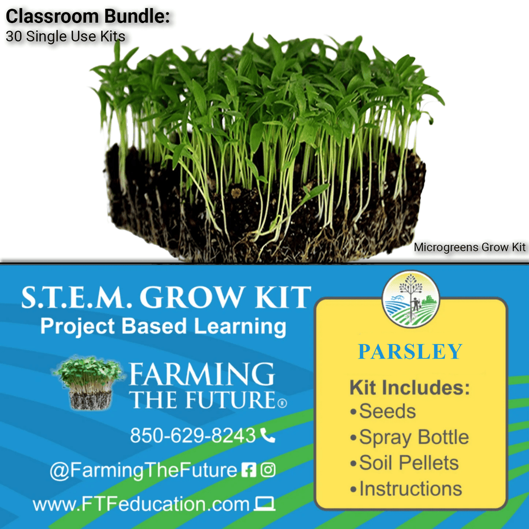 K - 12 STEM Student Parsley Microgreen Kit - Classroom Bundle - Greenhouse Megastore