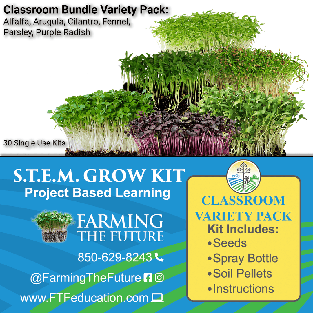 K - 12 STEM Student Variety Pack Microgreen Kit - Classroom Bundle - Greenhouse Megastore