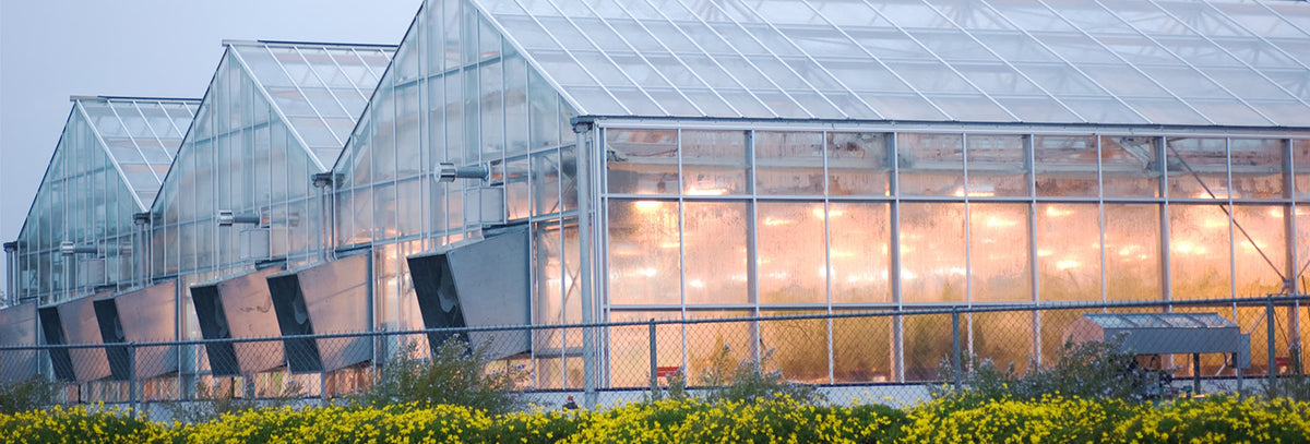 Greenhouse Lighting Systems – Greenhouse Megastore