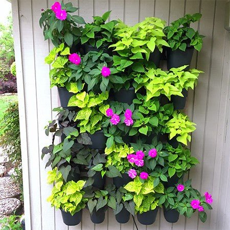 Living Wall Modular Vertical Garden Kit - Greenhouse Megastore