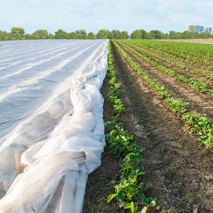 MegaGrow Bulk Row Cover .55 oz - Greenhouse Megastore