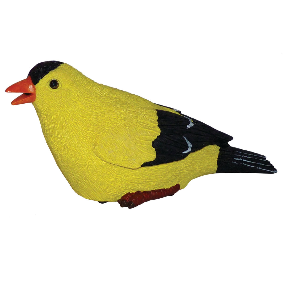 Michael Carr Designs™ Resin Chirper Collection Motion Activated Statuary - Greenhouse Megastore