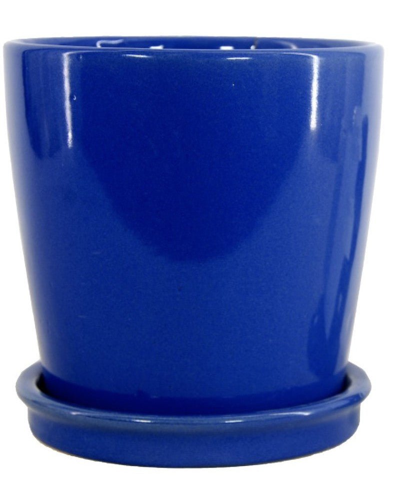 Michael Carr Designs™ Round Orchid Pot with Saucer - Greenhouse Megastore