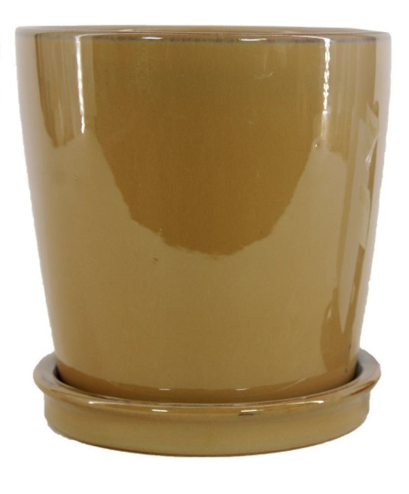 Michael Carr Designs™ Round Orchid Pot with Saucer - Greenhouse Megastore